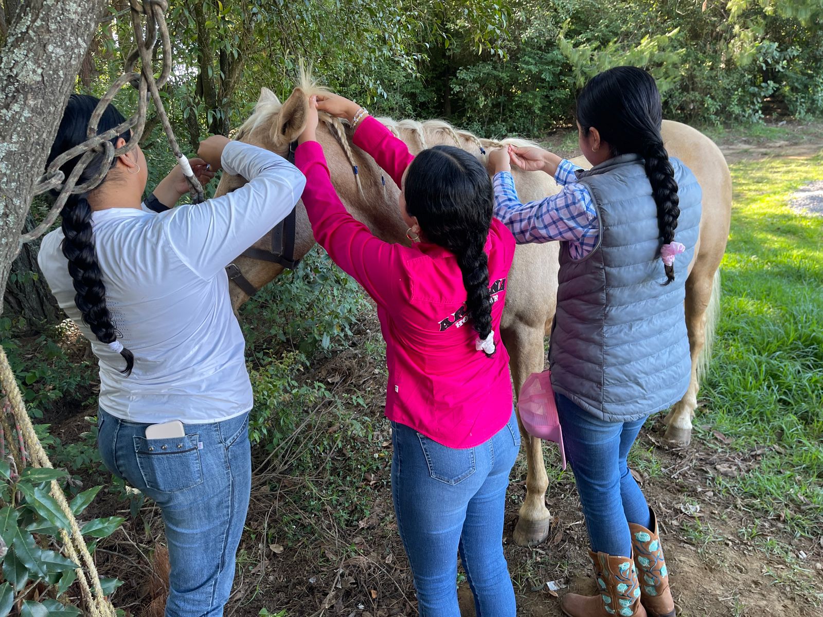Actividad ecuestre en LA CABALLERÍA