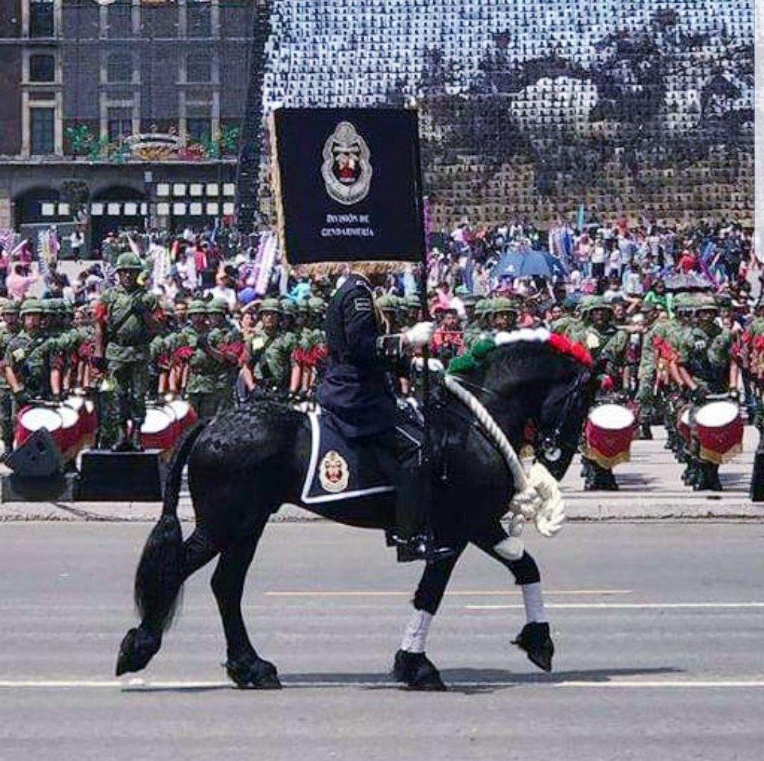 Galería LA CABALLERÍA 11