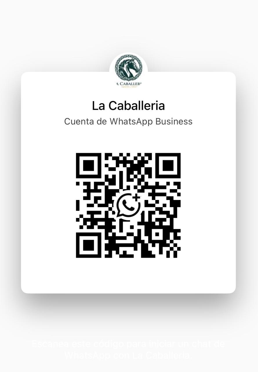 Galería LA CABALLERÍA 18