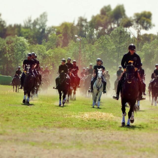 Rutas a caballo